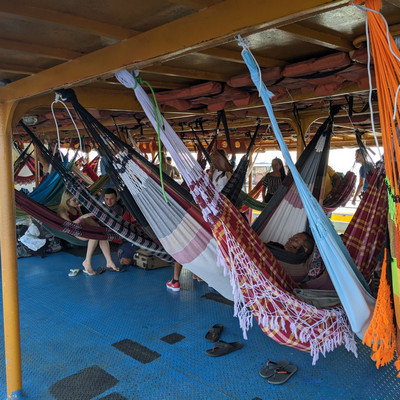 cleared out hammocks