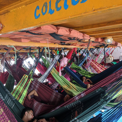 crowded hammocks