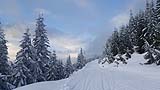 quitandtravel preeti.photography travel photography snow powder whistler bc british columbia powpow snowmobile snowmobiling pixelxl